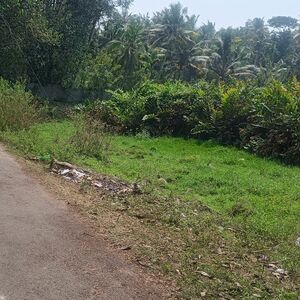 Acreage For Sale In Kerala in india