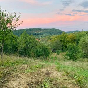 Beautiful secluded land with small house and workshop