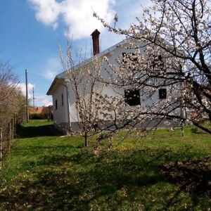 Cottage in the village of Babe-Sopot, Belgrade