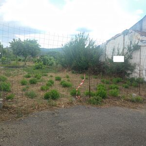Plot in the village