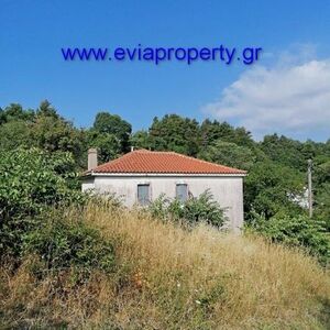 Detached House 100 sqm,  €37.000