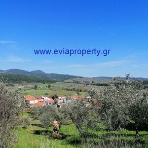 Plot 600 sqm,  €18.000