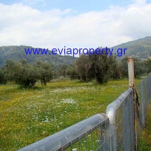 Plot 17629 sqm,  €135.000