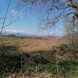 Plot 2667 sqm,  €95.000