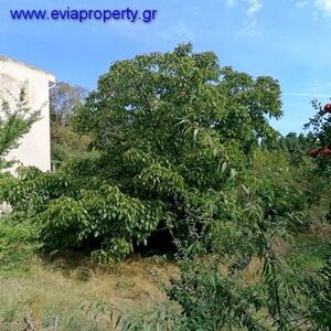 Plot 390 sqm,  €15.000