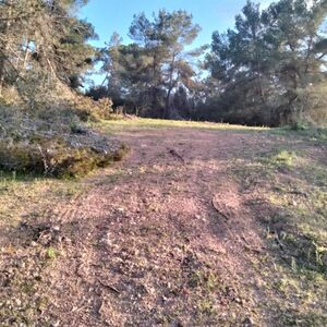 Rural building plot with project in Felanitx, S.E. Mallorca