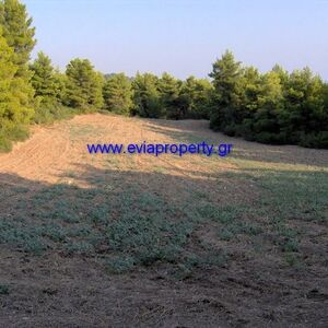 Parcel 5578 sqm,  €35.000