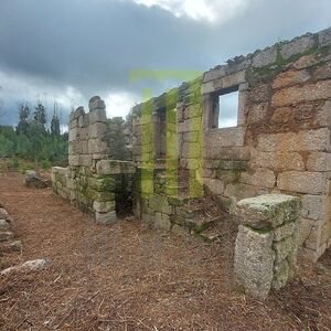 Farm with a house in ruins to be rebuilt in central Portugal