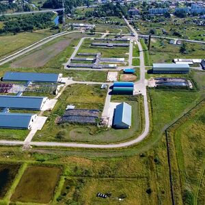 Dairy farm in Russia, 1200 cattle heads