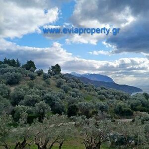 Parcel 1378sqm, €25.000