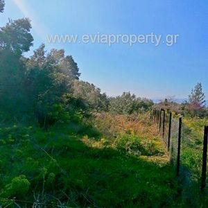 Parcel 1279sqm, €25.000