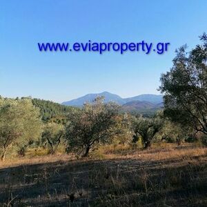 Parcel 7000sqm, €15.000