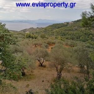 Parcel 2876sqm, €40.000  Limni, (Evia)