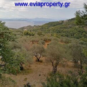 Parcel 2876sqm, €40.000  Limni, (Evia)