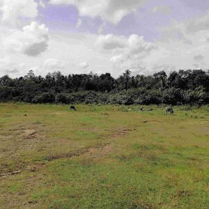 200 perches bare land for sale in Hikkaduwa for 900euro 