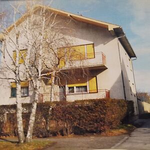 I am selling a multi-storey family house and premises in Nov