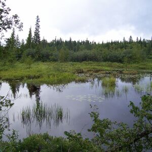 Land for Sale - Terrain a Vendre - (Ste Agathe Quebec)