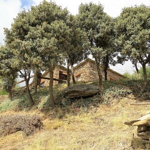 Traditional Well Presented Cortijo