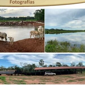 AGRICULTURAL LIVESTOCK PROPERTY FOR SALE