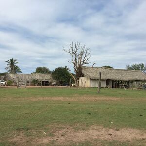 Livestock Property for sale