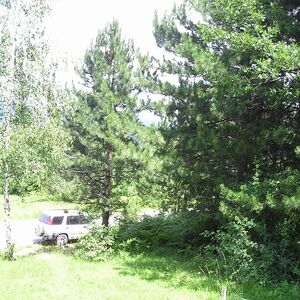 Zlatibor - plot for sale