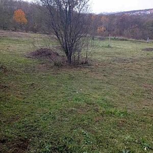 I am selling a plot in Belgrade - Miljakovacke staze