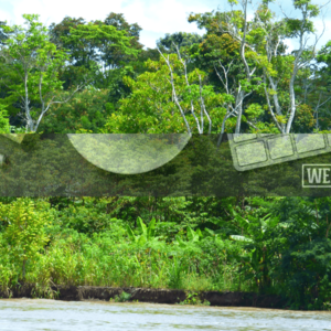 Spectacular 700 Hectares of Rainforest Land for Sale in Peru