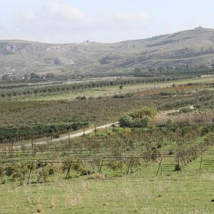 Land in Sicily - Colandrino Borgo Bonsignore