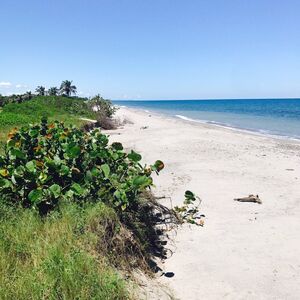Direct beachfront land for sale La Ceiba Honduras