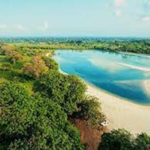 16.5Acres Beach Land in Diani Beach- Kenya for sale