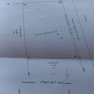 Land 1 Hectares Road Tahnaout