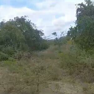 Kilifi 40800 acres for sale