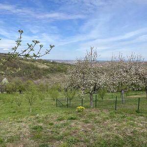 Land for sale 6 km from the center of Kragujevac