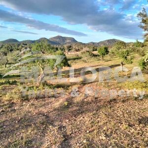 Rural building plot with project - Felanitx - SE Mallorca