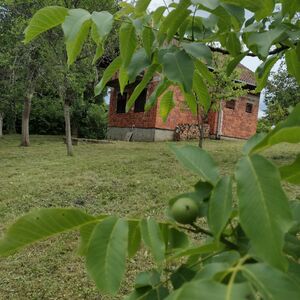 SOLD - Lovely orchard, ready to move in