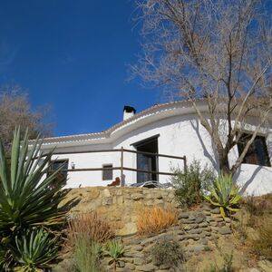 Exciting Opportunity Two Studio Properties