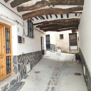 Large Village House