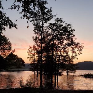 You Deserve More Than Just a Place to Live – You Deserve a P
