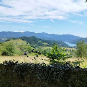 Land Zaovine-Tara