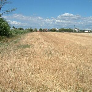 Romania Investment Land Plots