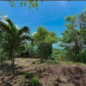 Res/Comm Titled Land For Sale, Loboc, Bohol
