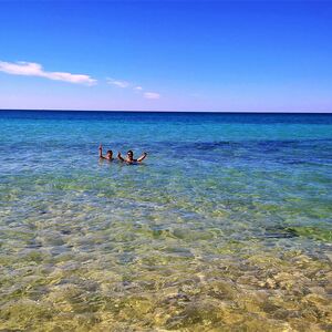Land with olives 3 km from the Sea