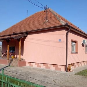 Two houses for sale in Baric-Obrenovac