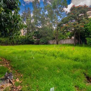 Vacant Land For Sale In Westlands Nairobi Kenya