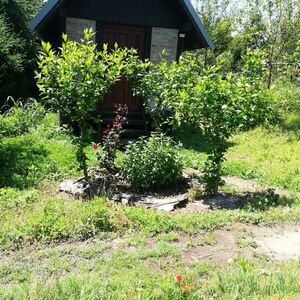 Holiday Site for Sale