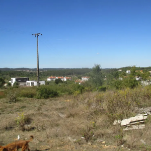  Rustic Land and Farms
