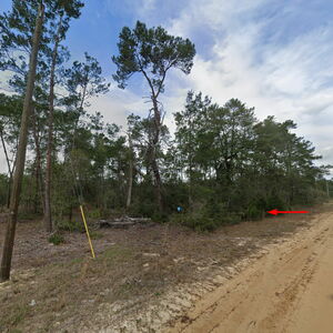 Vacant land for you in Putnam, Florida