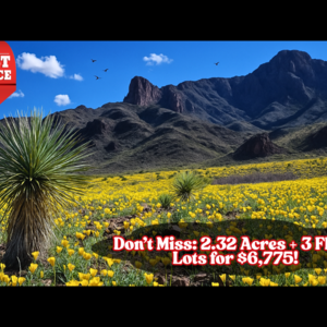 BUY 1 Get 3 MORE Lots FREE, Totaling 2.32 Acres For $6,775