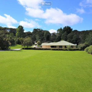 Peace and tranquillity in safe friend stable New Zealand 