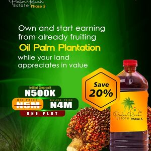 Palm Rich Phase 5